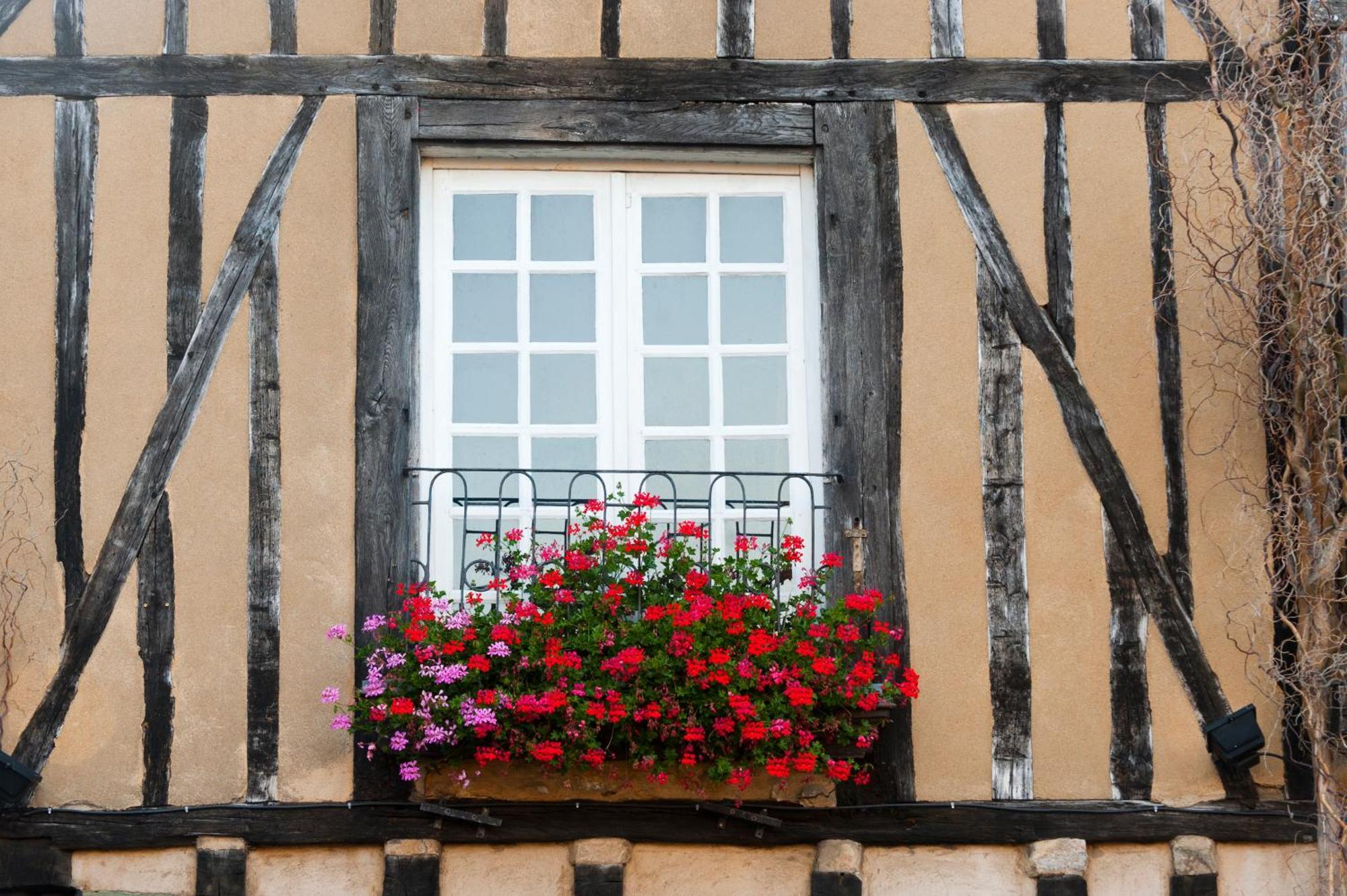 Chambres D'Hote - Maison Des Ecrivains - 50 M De La Cathedrale Et Place Des Jacobins Le Mans Luaran gambar